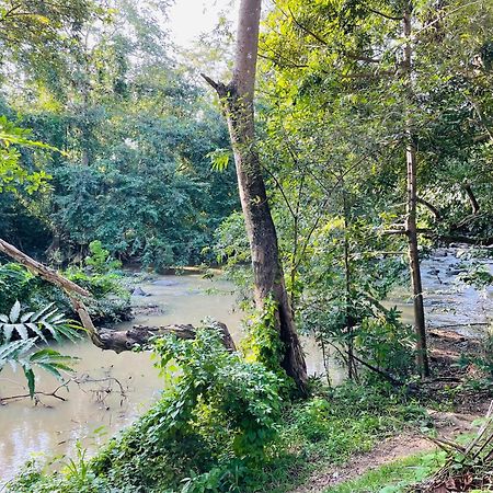 Yala Safari River View Hotel تيساماهاراما المظهر الخارجي الصورة