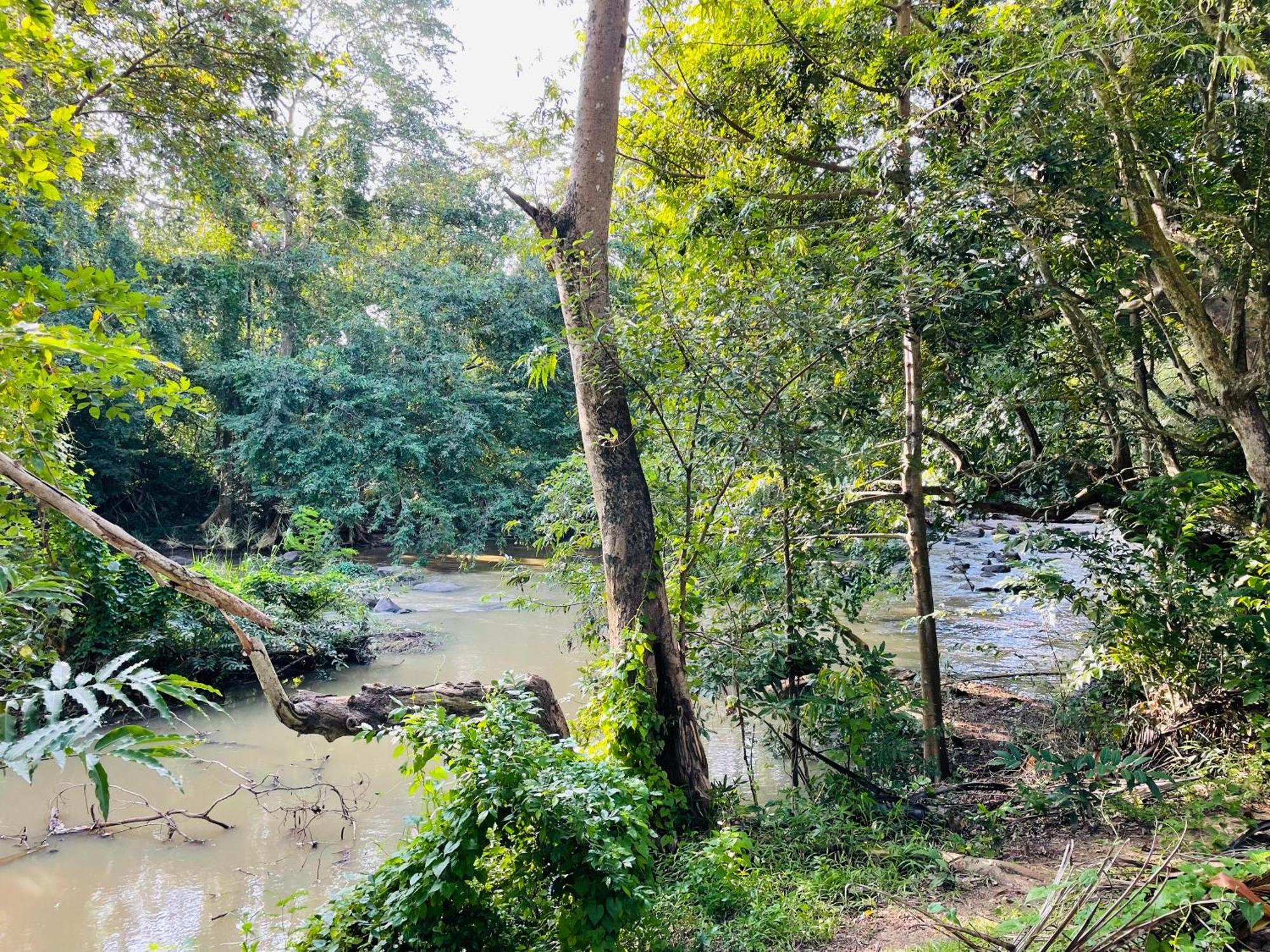Yala Safari River View Hotel تيساماهاراما المظهر الخارجي الصورة