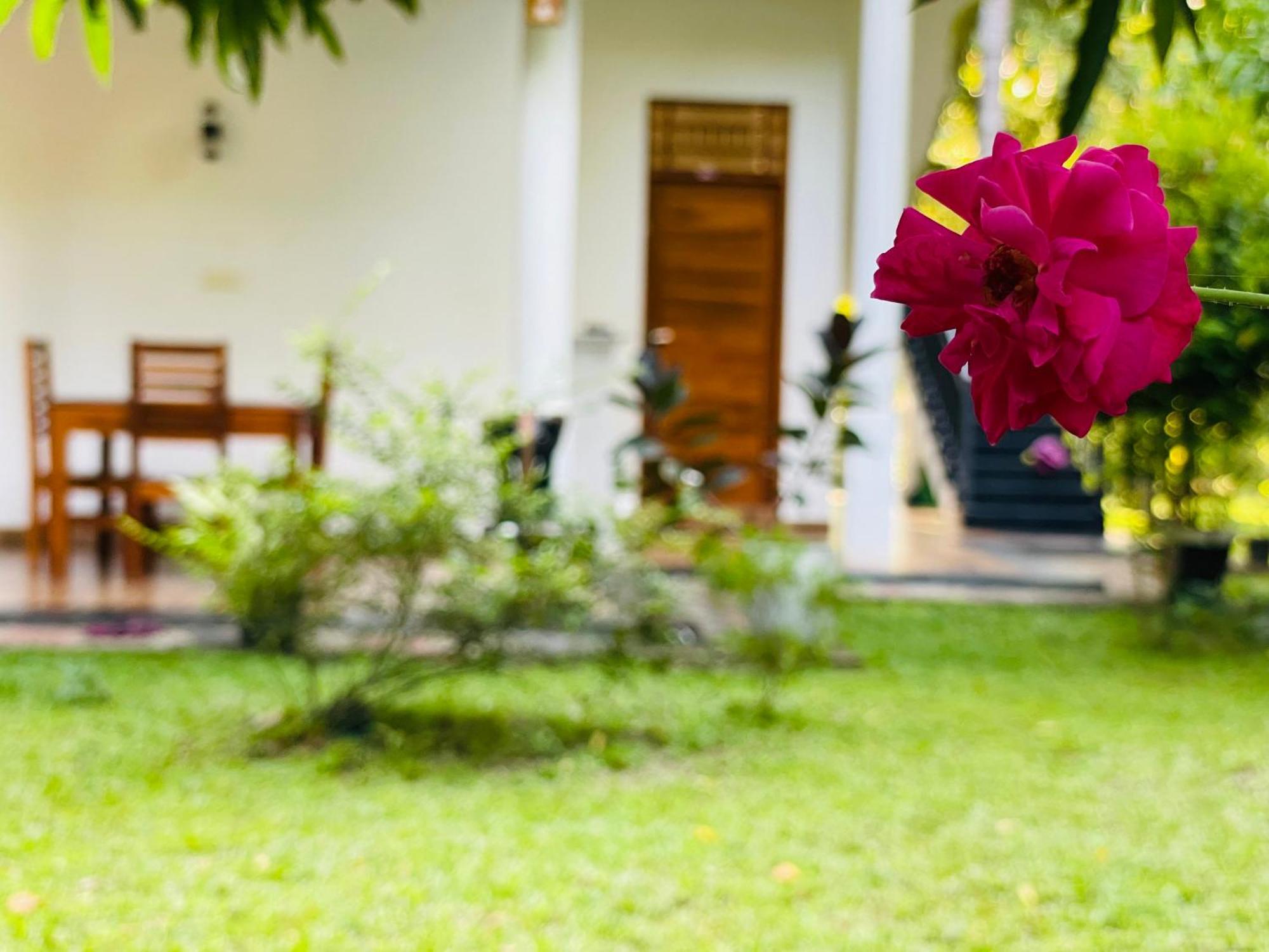 Yala Safari River View Hotel تيساماهاراما المظهر الخارجي الصورة