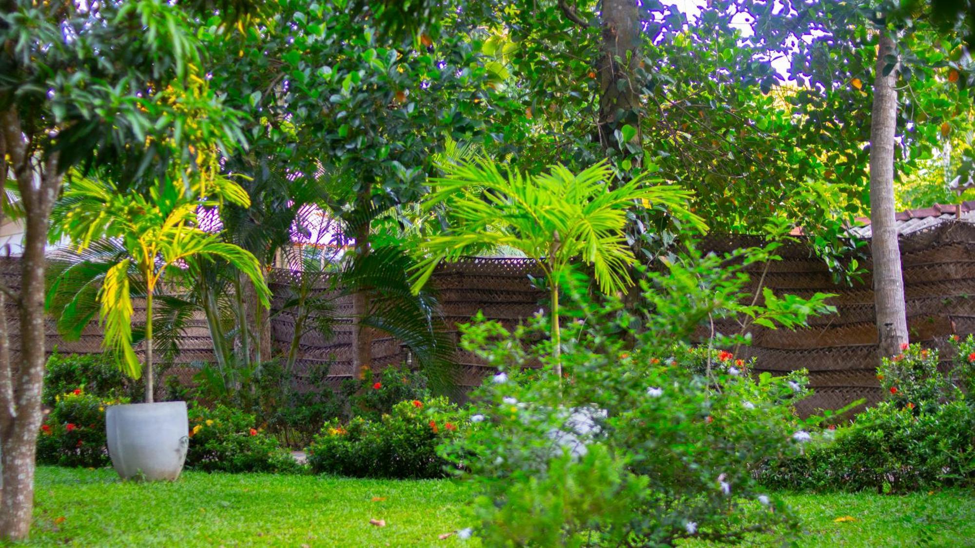Yala Safari River View Hotel تيساماهاراما المظهر الخارجي الصورة