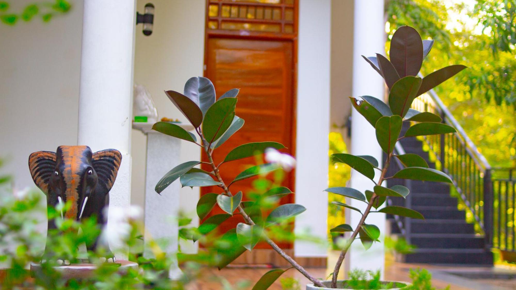 Yala Safari River View Hotel تيساماهاراما المظهر الخارجي الصورة