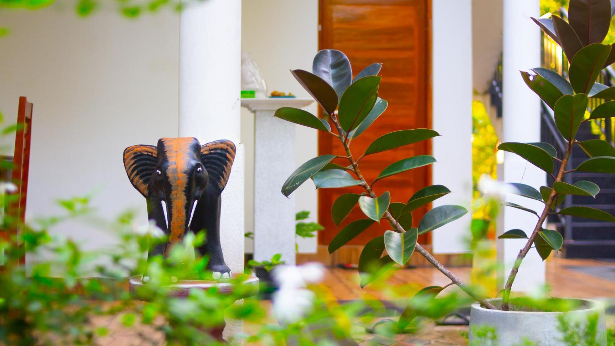 Yala Safari River View Hotel تيساماهاراما المظهر الخارجي الصورة