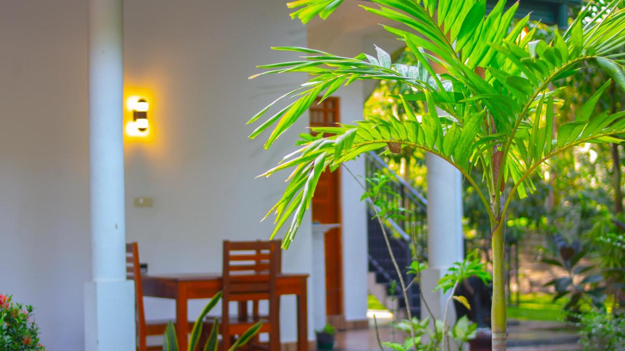Yala Safari River View Hotel تيساماهاراما المظهر الخارجي الصورة